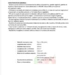 FLOWPACK-SIGITAS-PACK-EURO-600-CON-STAMPATORE-
